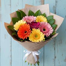 Букет цветов из:  Герберы #REPLACE_PRED# поселок Станции Манихино